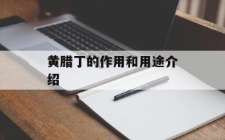 黄腊丁的作用和用途介绍
