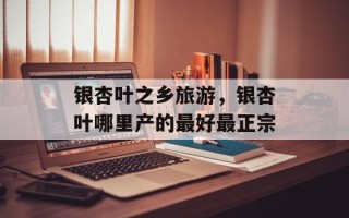 银杏叶之乡旅游，银杏叶哪里产的最好最正宗