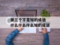 第三个字是知的成语 什么什么什么知的成语