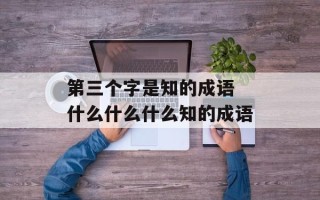 第三个字是知的成语 什么什么什么知的成语