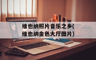 维也纳照片音乐之乡(维也纳金色大厅图片)