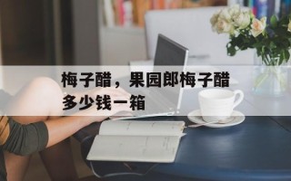梅子醋，果园郎梅子醋多少钱一箱