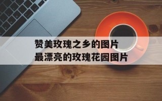 赞美玫瑰之乡的图片 最漂亮的玫瑰花园图片