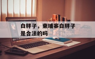 白胖子，柬埔寨白胖子是合法的吗