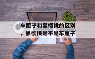 车厘子和黑樱桃的区别，黑樱桃是不是车厘子