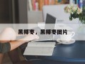 黑椰枣，黑椰枣图片