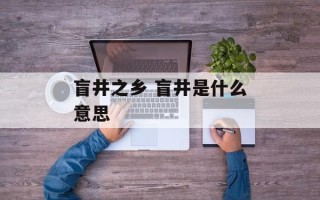 盲井之乡 盲井是什么意思