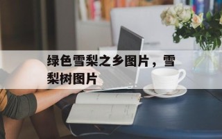 绿色雪梨之乡图片，雪梨树图片