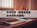 龙龟打野（掌握龙龟在野外的作战策略）