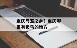 重庆鸟笼之乡？重庆哪里有卖鸟的地方