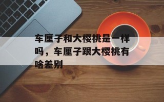 车厘子和大樱桃是一样吗，车厘子跟大樱桃有啥差别