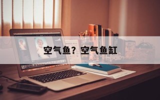 空气鱼？空气鱼缸