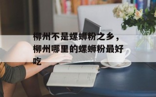 柳州不是螺蛳粉之乡，柳州哪里的螺蛳粉最好吃