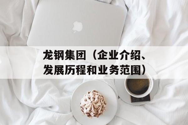 龙钢集团（企业介绍、发展历程和业务范围）-第1张图片-