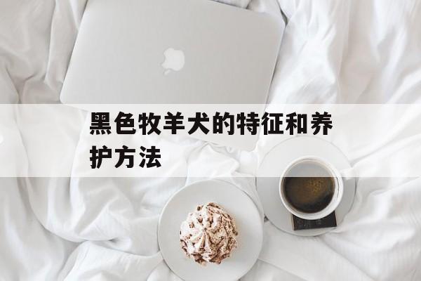 黑色牧羊犬的特征和养护方法-第1张图片-