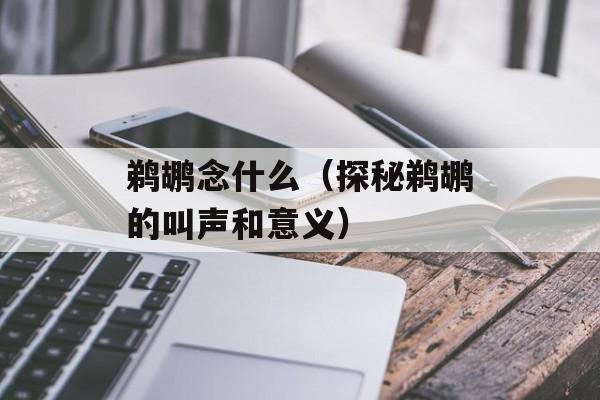 鹈鹕念什么（探秘鹈鹕的叫声和意义）-第1张图片-