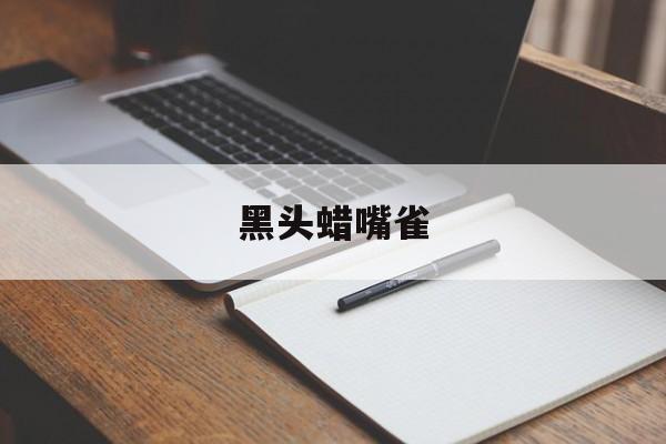 黑头蜡嘴雀-第1张图片-