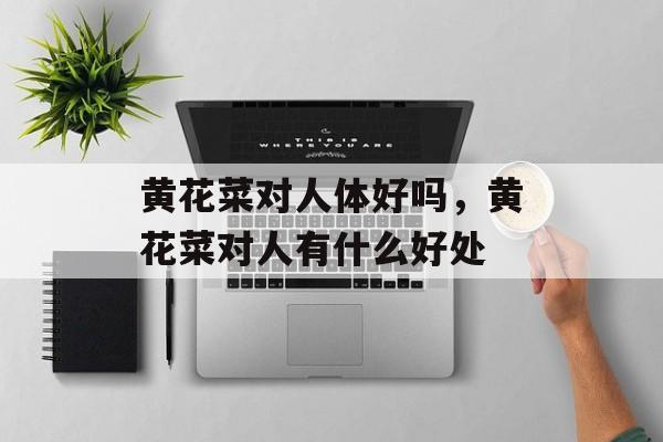 黄花菜对人体好吗，黄花菜对人有什么好处-第1张图片-