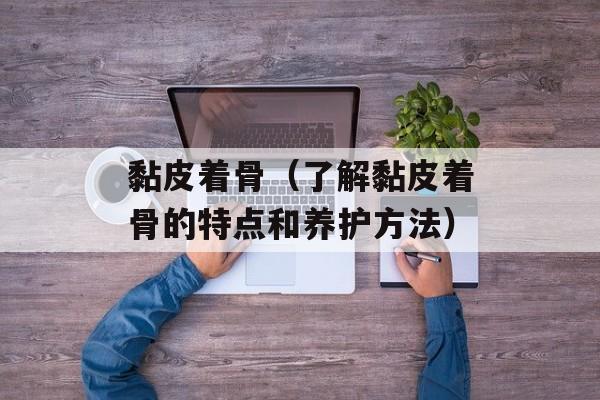 黏皮着骨（了解黏皮着骨的特点和养护方法）-第1张图片-