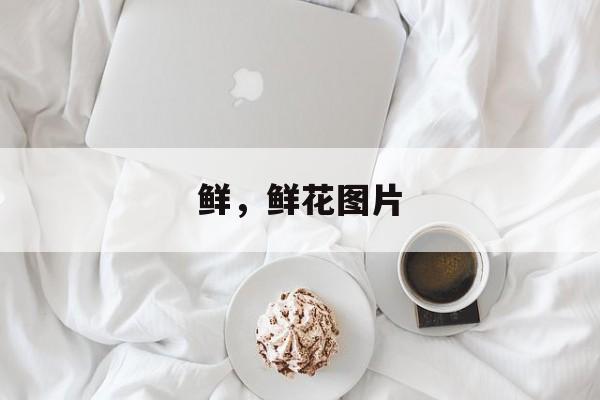 鲜，鲜花图片-第1张图片-