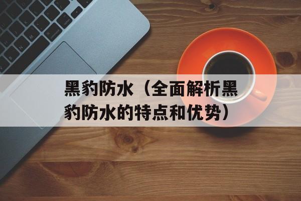 黑豹防水（全面解析黑豹防水的特点和优势）-第1张图片-