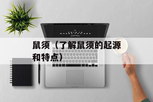 鼠须（了解鼠须的起源和特点）-第1张图片-