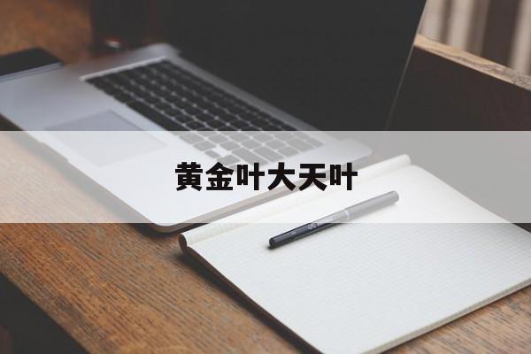黄金叶大天叶-第1张图片-