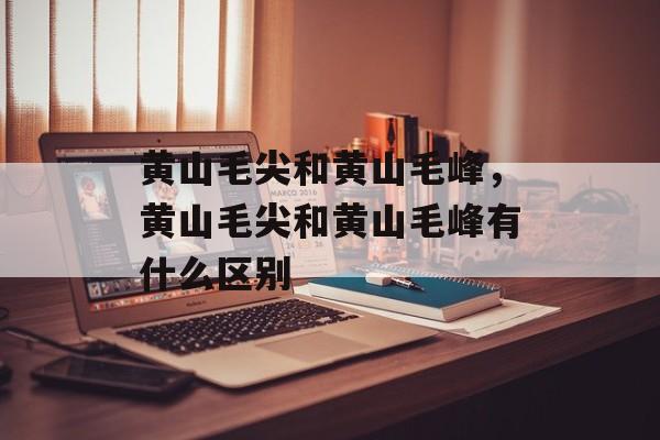 黄山毛尖和黄山毛峰，黄山毛尖和黄山毛峰有什么区别-第1张图片-
