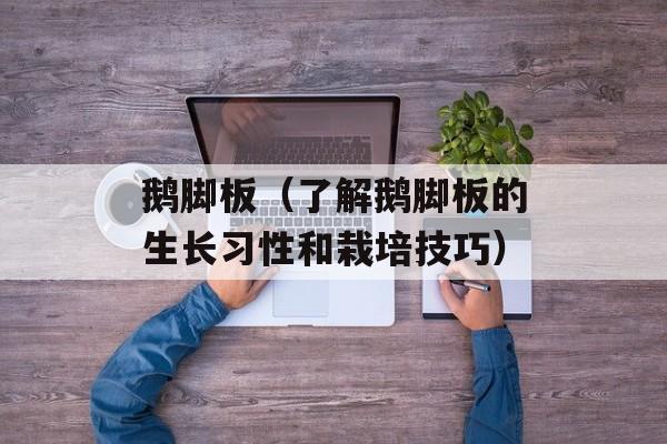 鹅脚板（了解鹅脚板的生长习性和栽培技巧）-第1张图片-
