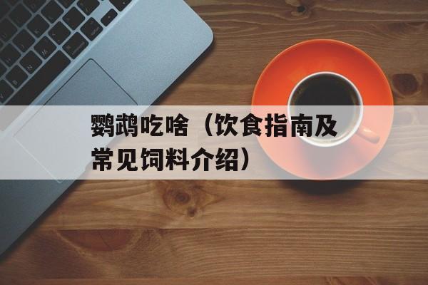 鹦鹉吃啥（饮食指南及常见饲料介绍）-第1张图片-