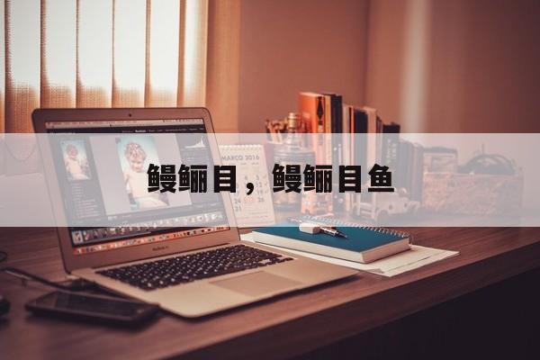 鳗鲡目，鳗鲡目鱼-第1张图片-