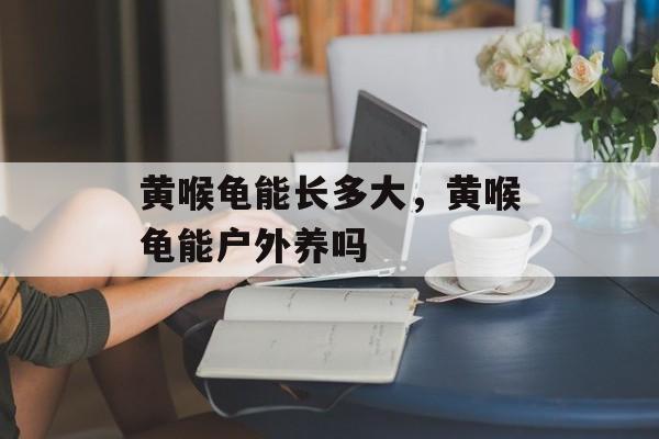 黄喉龟能长多大，黄喉龟能户外养吗-第1张图片-