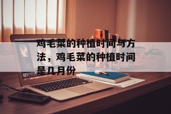 鸡毛菜的种植时间与方法，鸡毛菜的种植时间是几月份-第1张图片-