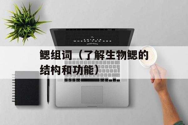 鳃组词（了解生物鳃的结构和功能）-第1张图片-