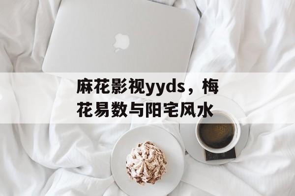 麻花影视yyds，梅花易数与阳宅风水-第1张图片-