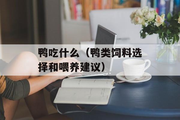 鸭吃什么（鸭类饲料选择和喂养建议）-第1张图片-