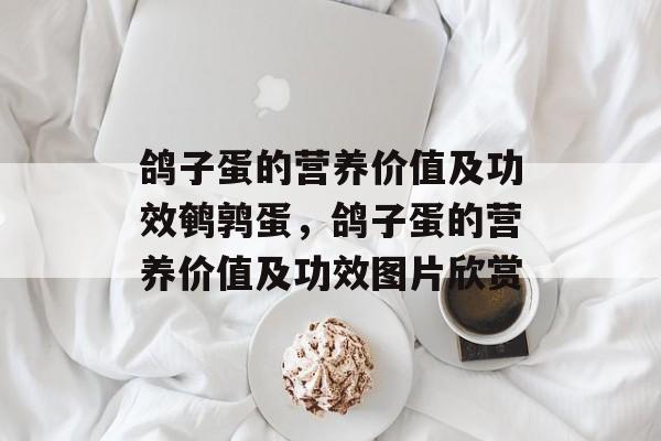 鸽子蛋的营养价值及功效鹌鹑蛋，鸽子蛋的营养价值及功效图片欣赏-第1张图片-