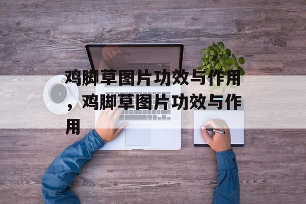 鸡脚草图片功效与作用，鸡脚草图片功效与作用-第1张图片-