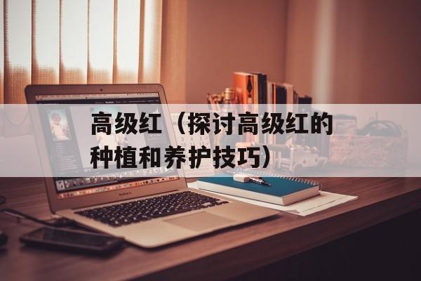 高级红（探讨高级红的种植和养护技巧）-第1张图片-
