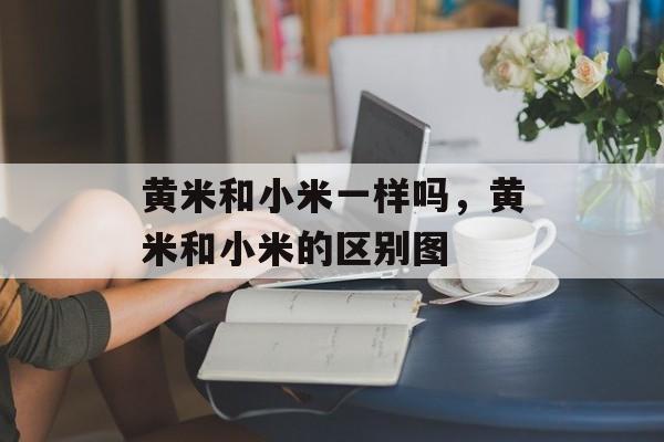 黄米和小米一样吗，黄米和小米的区别图-第1张图片-