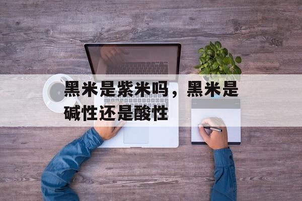 黑米是紫米吗，黑米是碱性还是酸性-第1张图片-