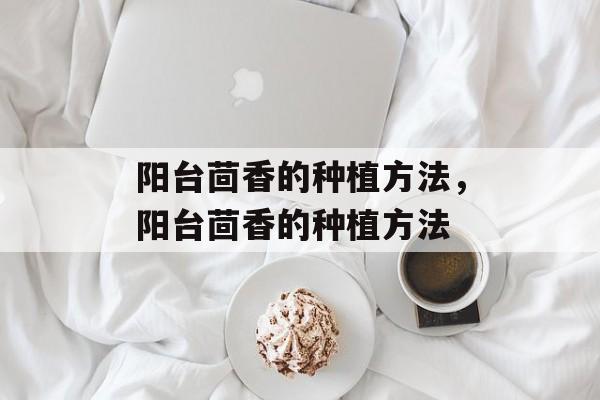 阳台茴香的种植方法，阳台茴香的种植方法-第1张图片-