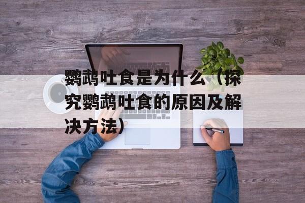 鹦鹉吐食是为什么（探究鹦鹉吐食的原因及解决方法）-第1张图片-