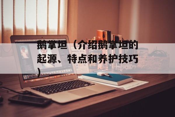鹅掌坦（介绍鹅掌坦的起源、特点和养护技巧）-第1张图片-