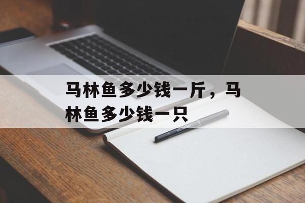 马林鱼多少钱一斤，马林鱼多少钱一只-第1张图片-