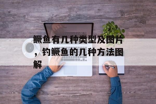 鳜鱼有几种类型及图片，钓鳜鱼的几种方法图解-第1张图片-