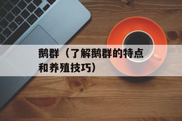 鹅群（了解鹅群的特点和养殖技巧）-第1张图片-