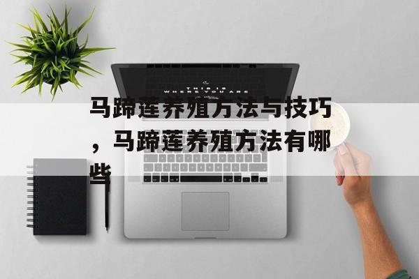 马蹄莲养殖方法与技巧，马蹄莲养殖方法有哪些-第1张图片-