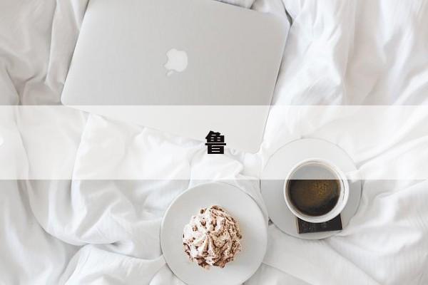 鲁-第1张图片-
