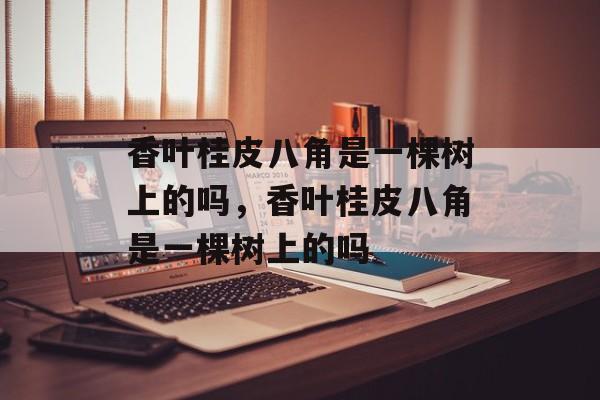 香叶桂皮八角是一棵树上的吗，香叶桂皮八角是一棵树上的吗-第1张图片-